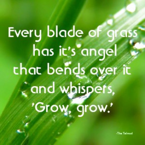 Every Blade of Grass Quote Magnet zazzle_magnet