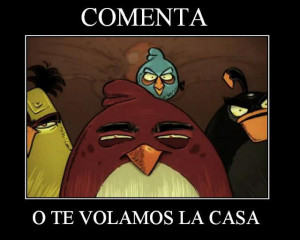 Images Funny Angry Bird Quotes Deckss Wallpaper