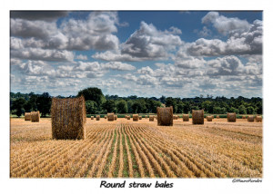 ... Intelligence? Journal of Humanistic Psychology, 2002; 42(2): 16-33