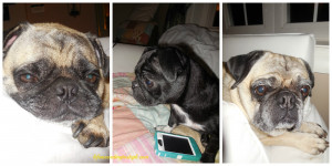 10. Ecard of the week: Don't be the person people say this to.