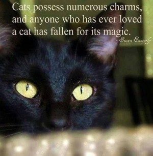 Cats possess numerous charms, and anyone who has ever loved a cat has ...