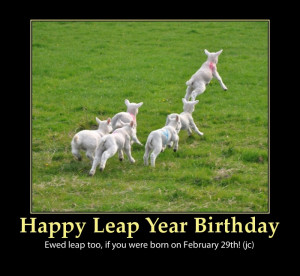 happy birthday leap year funny poster