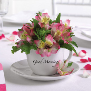 Good Morning Cup for Lily - lilyz Photo