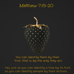 Matthew 7:15-20: