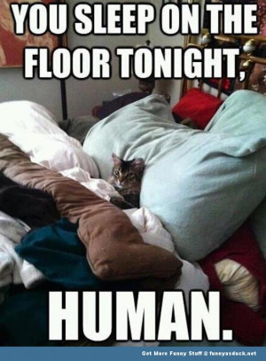 Sleep On The Floor Human