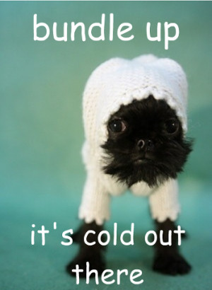 Be Safe! Cold Weather Tips for pets...
