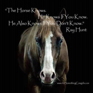 Horse pictures with quotes horse quotes