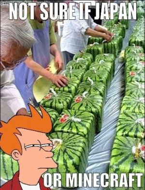 Funny photos funny Japanese watermelon square minecraft