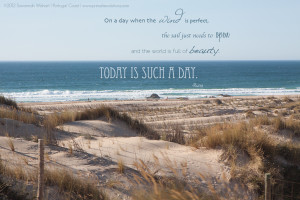 primal revolutions travel photography portugal beach rumi quote