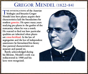 Gregor Mendel Quotes Monday, 21 february 2011