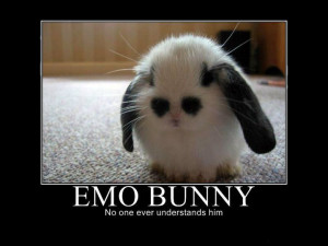 Demotivational Posters - Emo Animals (2)