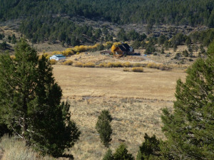 Re: Lil Duval at His Sister's Wedding