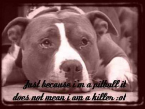 Cute Pitbull Pictures With Sayings 6955814e406f816d21c90f9ab8dc ...