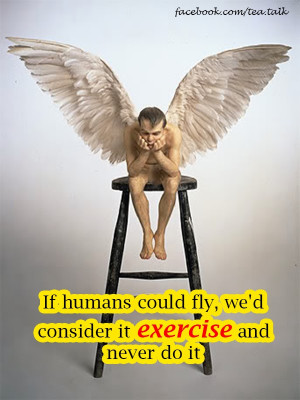 If humans could fly, we'd consider it exercise and never do it