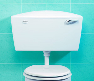 cisterns low level high level