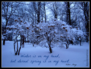 Beauty for your day...Winter Scene - Victor Hugo Quote ...