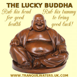 good luck, horseshoe, wishing well, lucky butterfly, lucky buddha ...