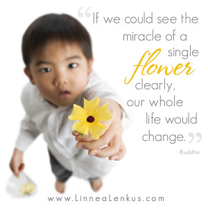 Inspirational Quote Miracle of a single flower