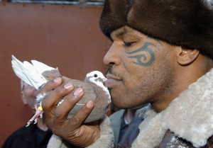 Mike Tyson’s Pigeons