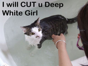 Will Cut You Deep - Cat Macro