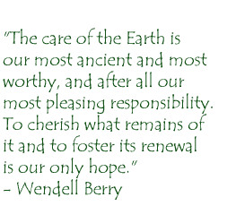the care of the earth is our most ancient and most worthy, and after ...