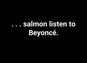 salmon listen to Beyonce
