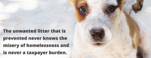 The unwanted litter that is prevented never knows the misery of ...