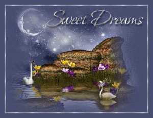 Good Night Sweet Dreams Animation