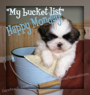 ... Happy Mondays, Picture-Black Posters, Buckets, Quotes, Puppies Rocks