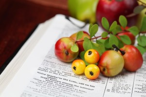 Thanksgiving Bible Verses to Share