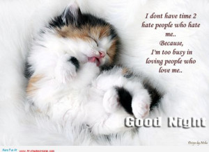 ... Me. Because I’m Too Busy In Loving People Who Love Me. ~ Cats Quotes