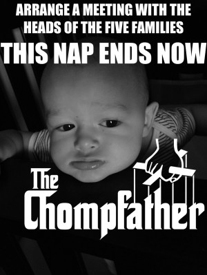chompfather-families