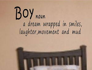 BOY-DEFINATION-WALL-QUOTE-DECAL-HOME-DECOR-BEDROOM-PLAYROOM-CHILDREN ...