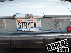 Funny License Plate Sayings http://www.r8pl8z.com/category/plates-by ...