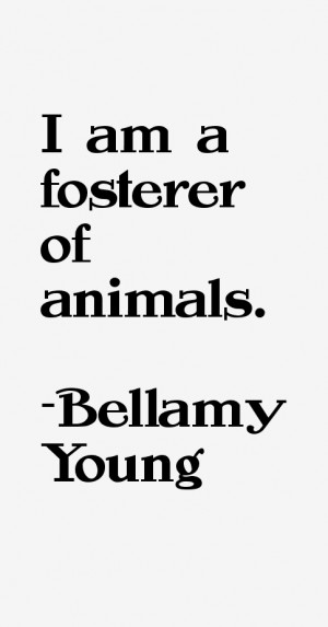 Bellamy Young Quotes amp Sayings
