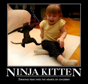 ninja kitten animal motivational poster