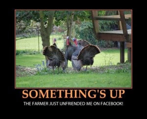 Funny Happy Thanksgiving Pictures and Cards 2013