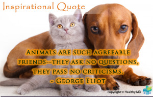Veterinary Quotes