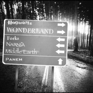 ayna, b&w, black and white, dreams, fantasy, forest, forks, harry ...