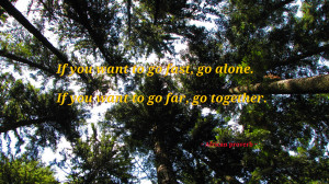 If you want to go fast, go alone... quote wallpaper