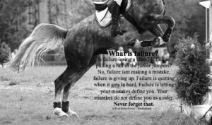 Riding Horse Quotes