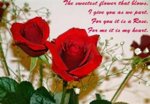 pics-of-pair-of-red-rose-with-love-quotes-messages-sayings-for-sending ...