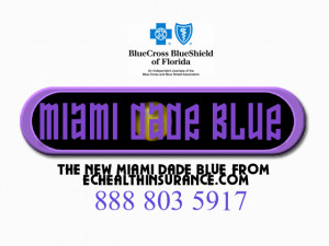 miami-dade-bluebig