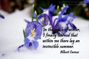 Spring Flowers In Snow Quotes Blue-flowers-in-snow-camus- ...