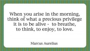 Marcus Aurelius Quotes: When you arise in the morning... Marcus ...