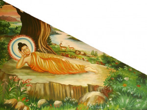 Pinned by Isabella Sierra