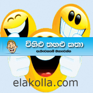 Sinhala Vihilu Katha Portal