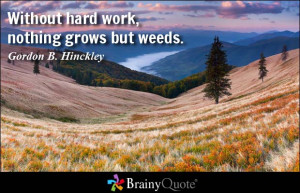 Without hard work, nothing grows but weeds.
