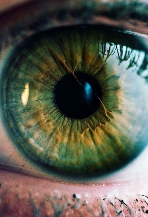 eye colors drawing eye blue green iris hazel eye windows green eyes ...