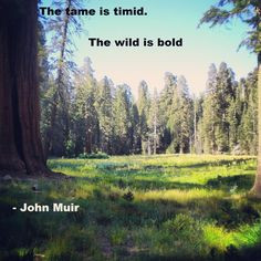 john muir quote 49 sequoia national park more john muir quotes quotes ...
